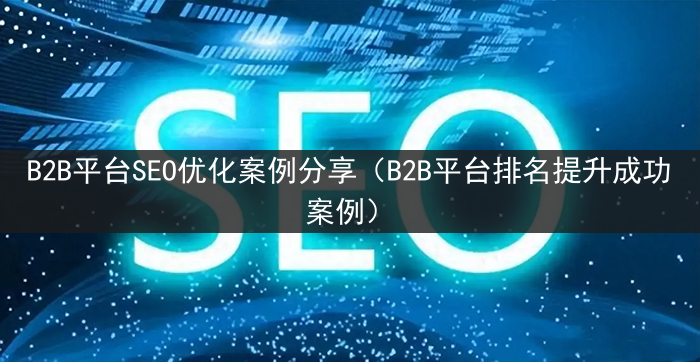 B2B平台SEO优化案例分享（B2B平台排名提升成功案例）