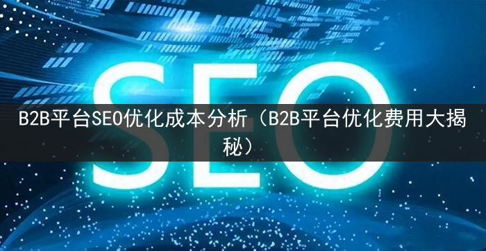 B2B平台SEO优化成本分析（B2B平台优化费用大揭秘）