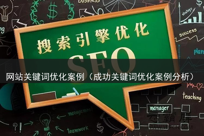 网站关键词优化案例（成功关键词优化案例分析）