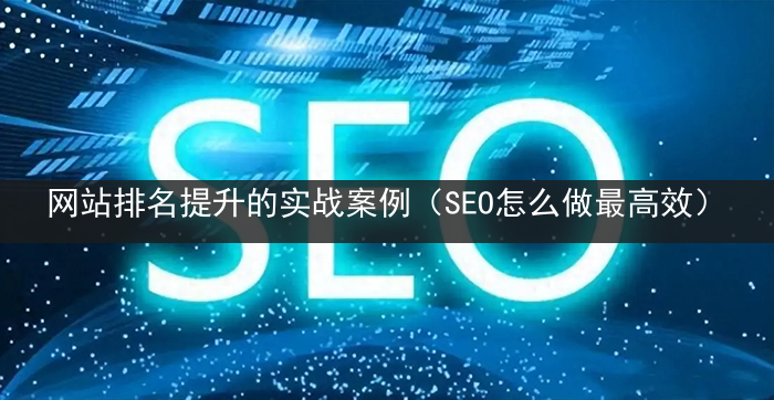 网站排名提升的实战案例（SEO怎么做最高效）