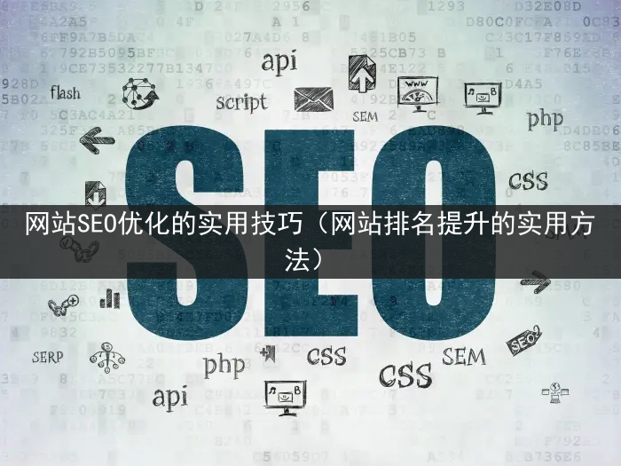 网站SEO优化的实用技巧（网站排名提升的实用方法）