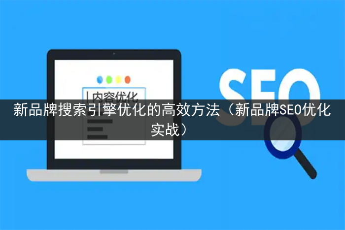 新品牌搜索引擎优化的高效方法（新品牌SEO优化实战）