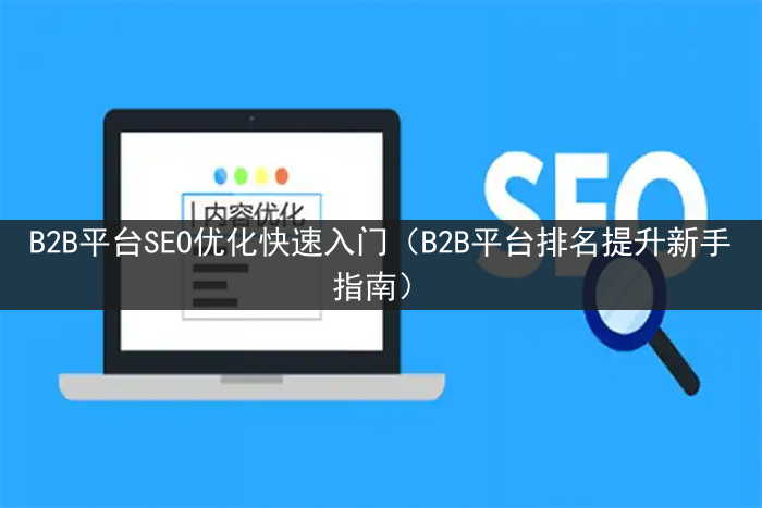 B2B平台SEO优化快速入门（B2B平台排名提升新手指南）